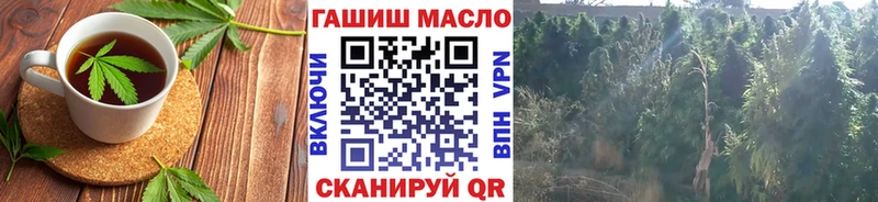 гидра ссылка  Сураж  Печенье с ТГК конопля 