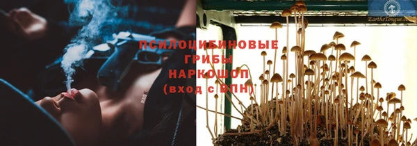 соль курить ск Алексеевка