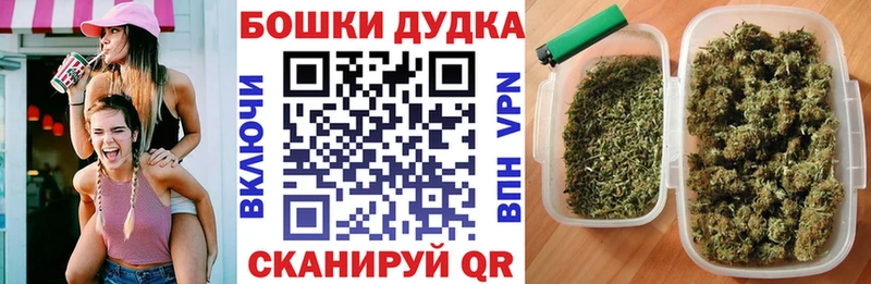 МАРИХУАНА сатива Сураж